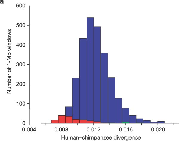 Histogram of divergence values between human and chimp gehnomes for 1 Mb long segments of the genome (blue indicates segments from autosomes, red - from the X chromosome and green - from the Y chromosome; (figure from , used by permission)