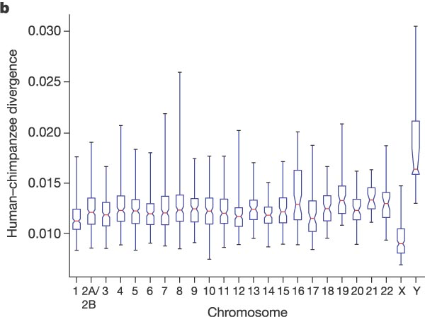 Divergence values between human and chimp genomes distribution for different chromosomes (figure from , used by permission)